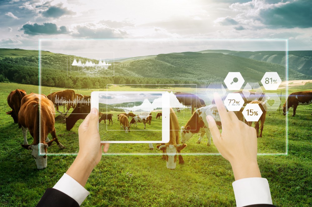 佰利乐·(中国区)有限公司官网