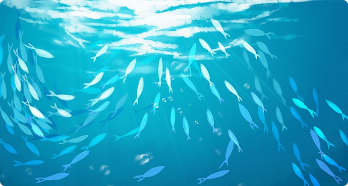 佰利乐·(中国区)有限公司官网