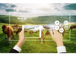 佰利乐·(中国区)有限公司官网