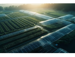 佰利乐·(中国区)有限公司官网