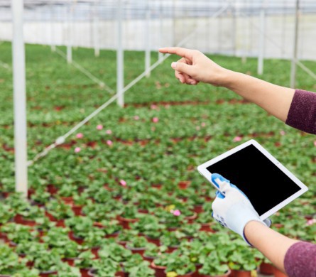 佰利乐·(中国区)有限公司官网