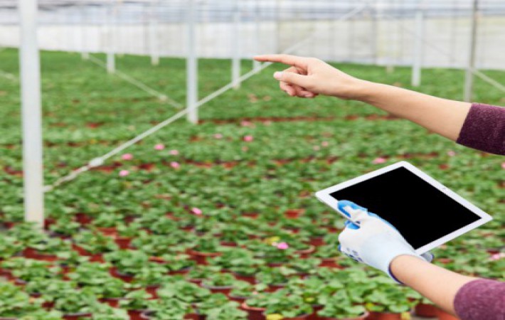 佰利乐·(中国区)有限公司官网